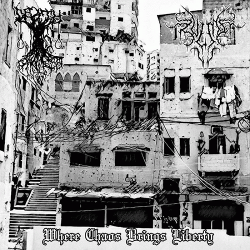 Zulmet : Where Chaos Brings Liberty